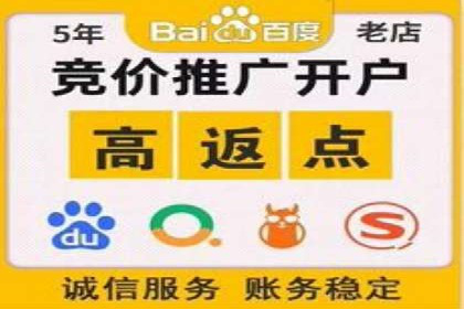 百度推广的广告投放策略案例